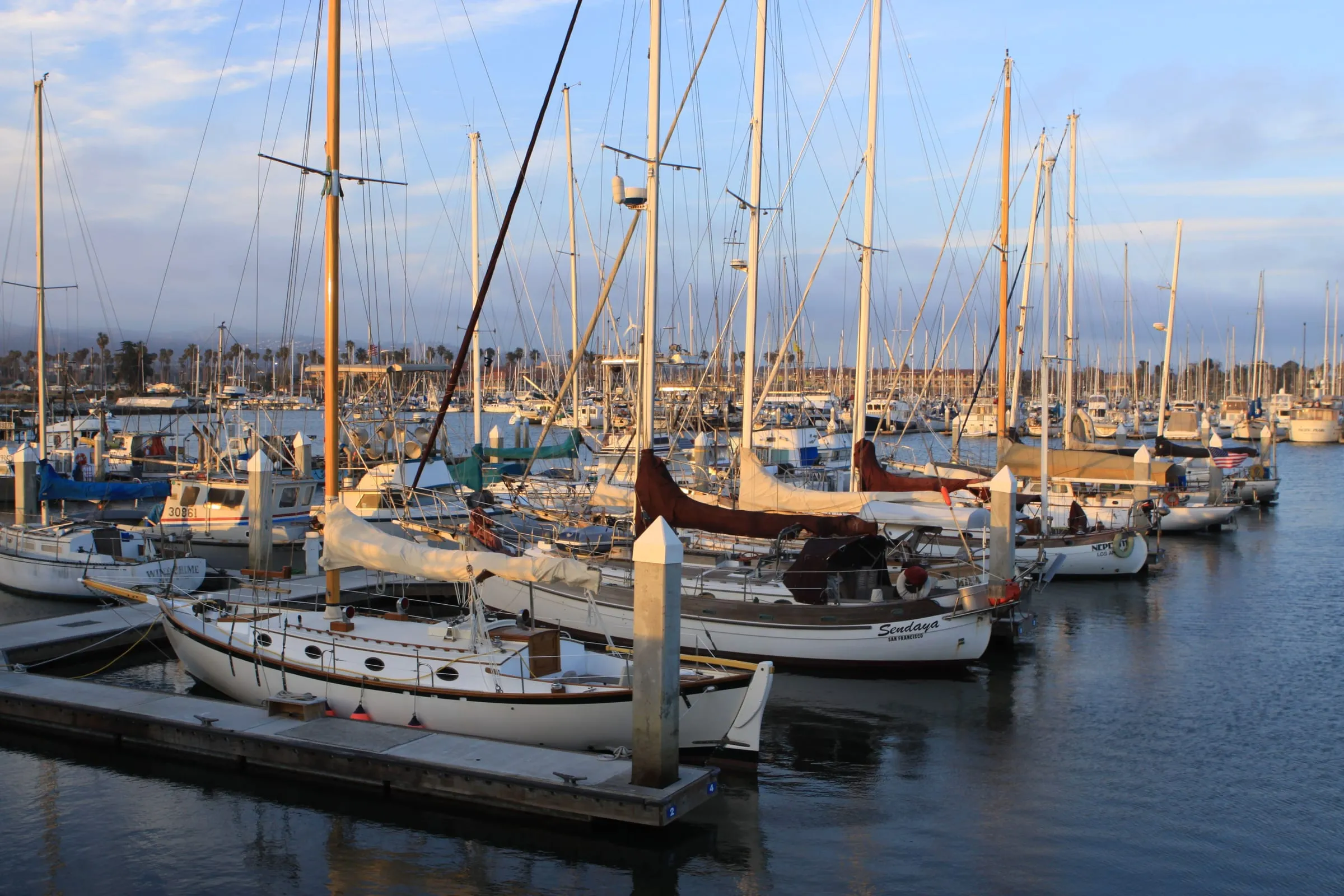 Sailboats tied up in their slips at a marina in late afternoon light, masts crowded against a pale sky