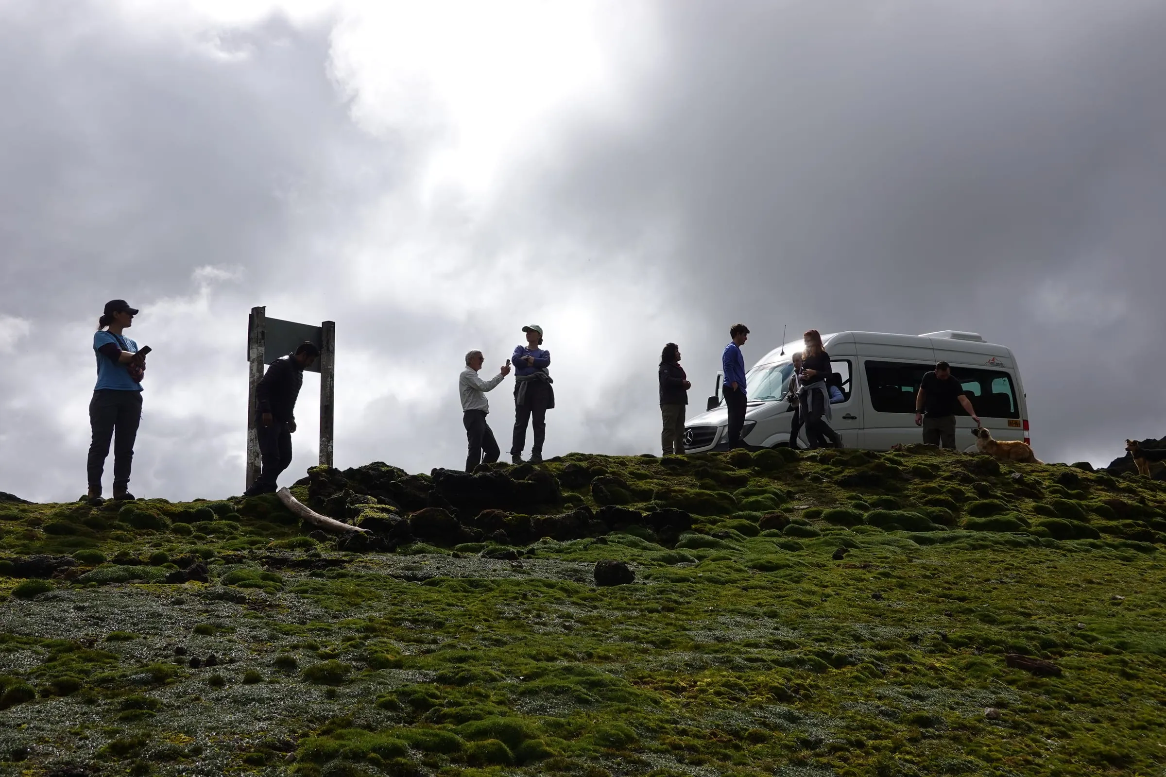 A group gathered on a grassy headland under a cloudy sky, silhouetted, with their passenger van parked behind them
